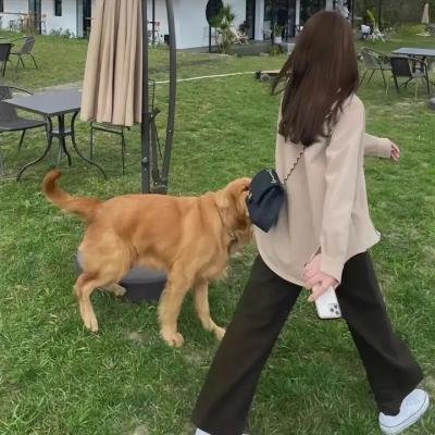 靓佬揾靴著