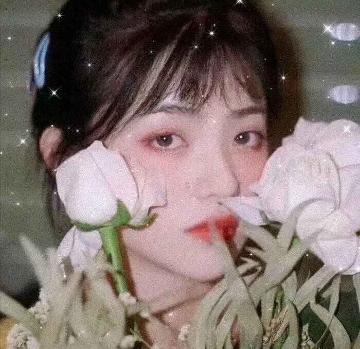 叠影惊情